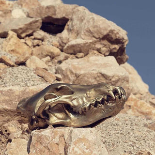 Diesel with Seletti Wunderkrammer Wolf Skull scultura teschio lupo ottone Acquista i prodotti di DIESEL LIVING WITH SELETTI su Shopdecor