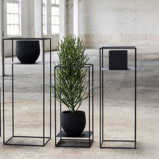 Serax Display scaffale per piante nero h. 110 cm. - Acquista ora su ShopDecor - Scopri i migliori prodotti firmati SERAX design