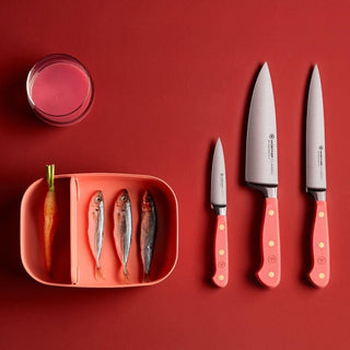 Wusthof Classic Color coltello prosciutto 16 cm. - Acquista ora su ShopDecor - Scopri i migliori prodotti firmati WÜSTHOF design